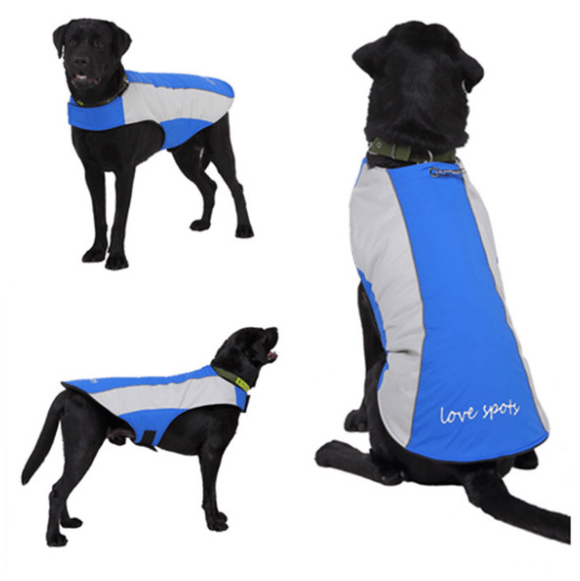 Pet Reflective Clothes - Dog Hugs Cat