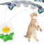 Electric Automatic Rotating Flower Pet Products - Dog Hugs Cat
