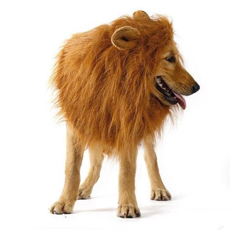 Cute Pet Cosplay Clothes Transfiguration Costume Lion Mane Winter Warm Wig Cat Large Dog Party Decoration With Ear Pet Apparel - Dog Hugs Cat