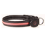 Dog Luminous Collar - Dog Hugs Cat