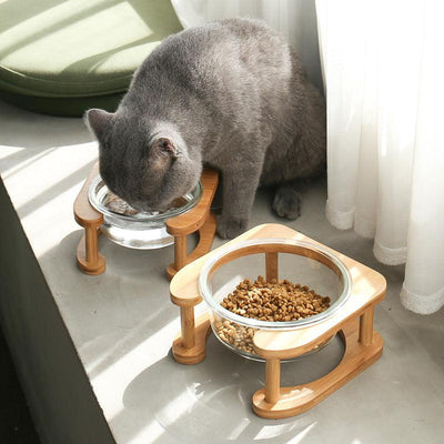 Glass Cat Bowl Cat Food Bowl Cat Food Bowl - Dog Hugs Cat