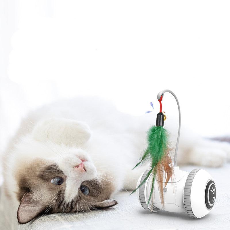 Interactive Cat Toy With Interchangeable Heads Pet Feather Toys - Dog Hugs Cat