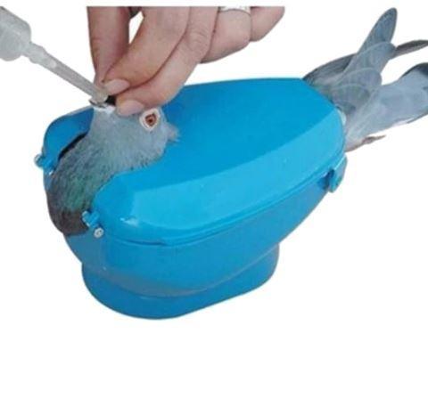 Plastic Racing Pigeon Holder Easy Bird Fixed Frame Rack Medicine Feeder Light Blue - Dog Hugs Cat