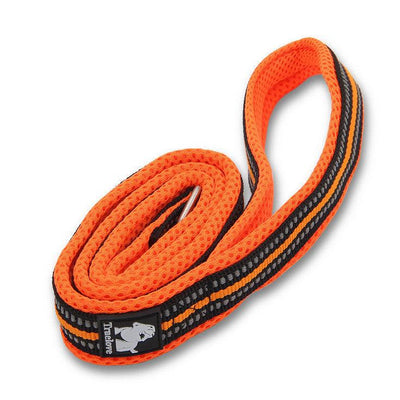 Pet Dog Leash - Dog Hugs Cat