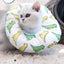 White Ring Cat Collar - Dog Hugs Cat