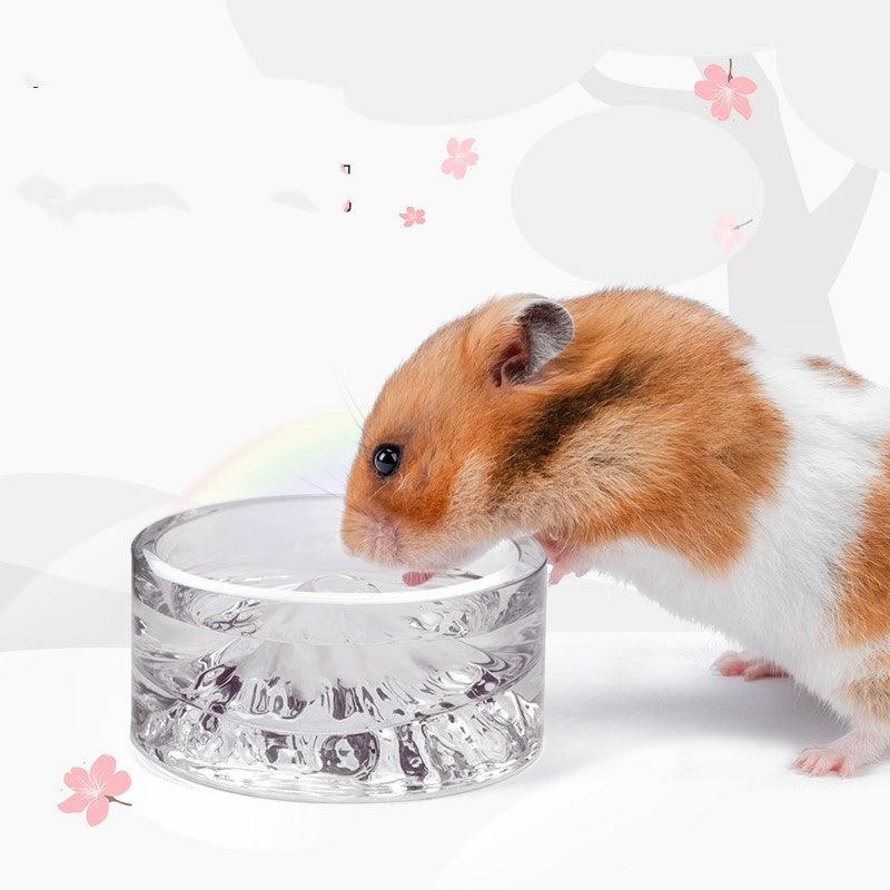 Hamster Golden Bear Glass Water Bowl Anti-Lifting - Dog Hugs Cat