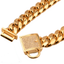 Stainless Steel Titanium Steel Gold Encryption Chain - Dog Hugs Cat