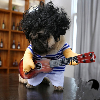 Pet Dog Guitarist Dress - Dog Hugs Cat