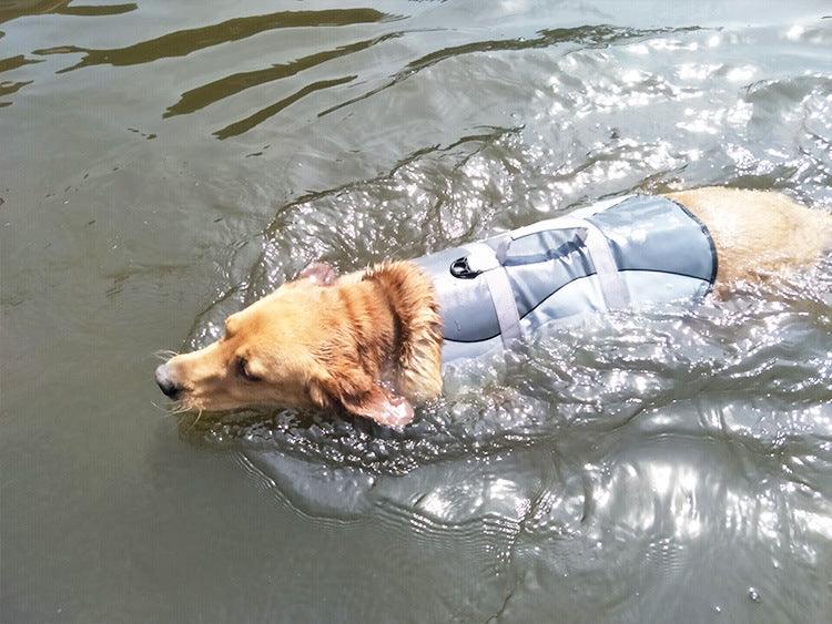 Pet Life Jacket - Dog Hugs Cat