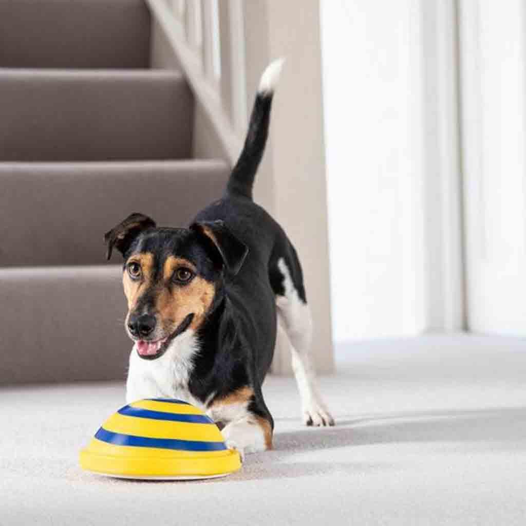 Sounding Disc Woof Glider Soft & Safe Indoor Pet Dogs Play Toy Pets Unique Interacts Entertainment Toys - Dog Hugs Cat