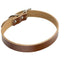 Leather Dog Collar Dog Chain - Dog Hugs Cat