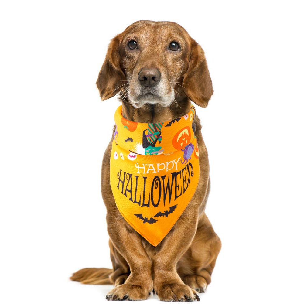 Halloween Pet Saliva Towel - Dog Hugs Cat