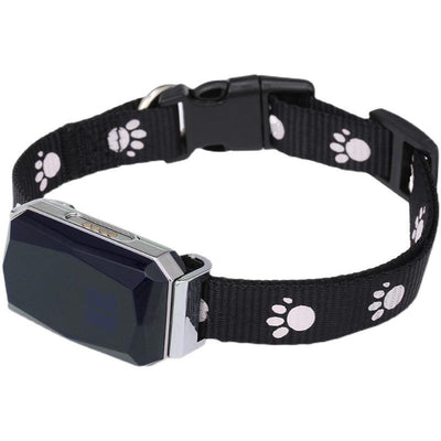 Pet Locator Beidou Gps Collar Puppy Cat Multifunctional Anti-Lost Tracking Intelligent Tracking Artifact - Dog Hugs Cat