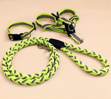 Pet Dog Leash - Dog Hugs Cat