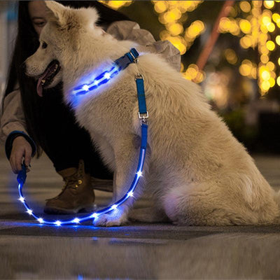 Creative Led Usb Charging Luminous Pet Leash - Dog Hugs Cat