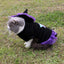 Christmas Wizard Pet Halloween Dog Clothes Pet Clothes - Dog Hugs Cat