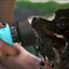 Pet Outdoor Foldable Bottle Dog Travel Water Bottle Dog Water Dispenser - Dog Hugs Cat