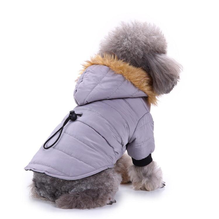 Winter Clothing For Pets - Dog Hugs Cat
