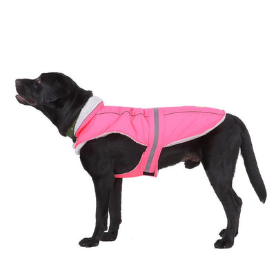 Pet Clothes Winter Clothes Night Reflective Pet Clothes - Dog Hugs Cat