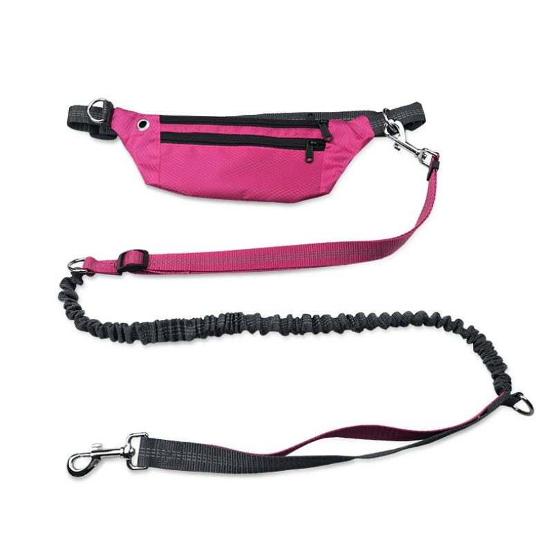 Dog Collar Without Hands - Dog Hugs Cat