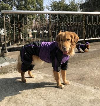 Large Dog Pet Raincoat - Dog Hugs Cat