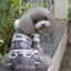 Fawn Pet Four-Legged Dog Clothes - Dog Hugs Cat