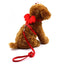 Little Angel Wings Leash - Dog Hugs Cat