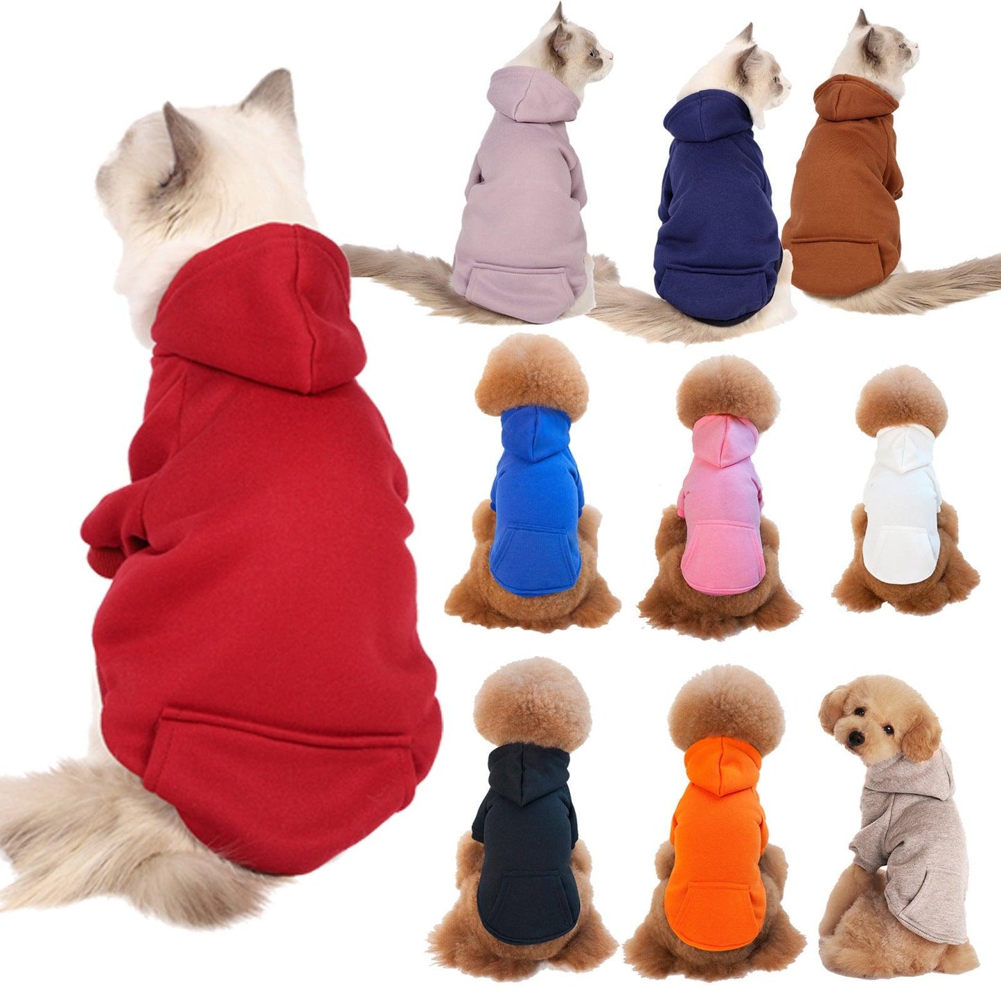 Small And Medium Sized Dogs Wearing Caps And Fleece Clothes - Dog Hugs Cat