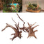 Fish Tank Decoration Sunken Tree Root Landscaping Wood - Dog Hugs Cat