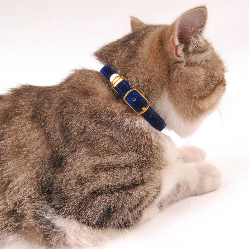 Pet Supplies Cat Collar - Dog Hugs Cat