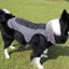 Thickened Dog Padded Coat Reflective Dog Clothing - Dog Hugs Cat