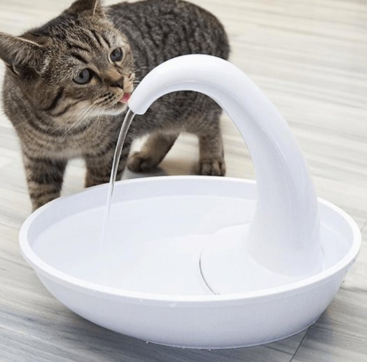 Automatic Swan Pet Cat Water Dispenser Drinking Bowl - Dog Hugs Cat