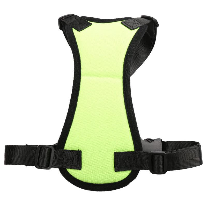 Car Seat Belts For Pets - Dog Hugs Cat