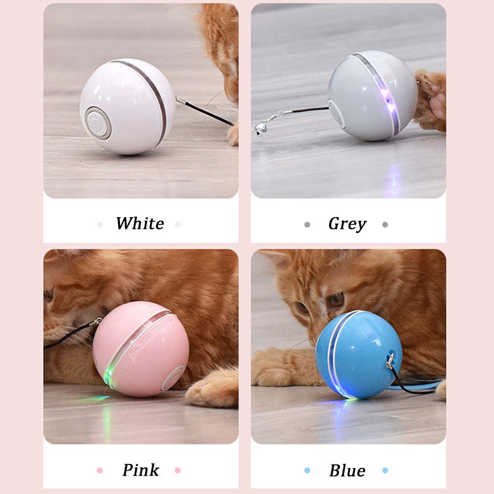 Colorful Led Laser Funny Cat Ball - Dog Hugs Cat