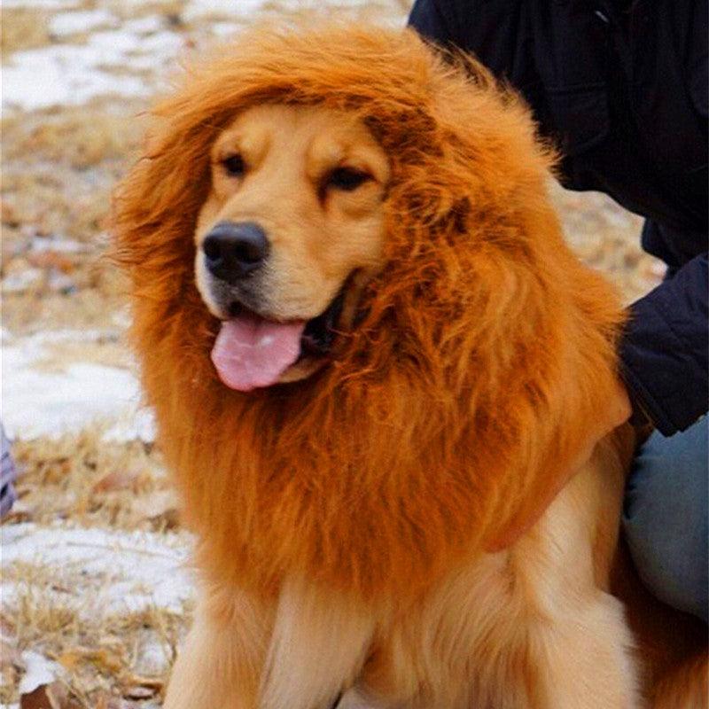 Lion Mane Wig For Large Dogs - Dog Hugs Cat