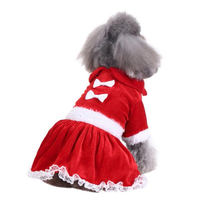 Pet Clothes Christmas Dog Funny - Dog Hugs Cat