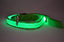 Glowing Pet Leash Glowing Dog Led - Dog Hugs Cat