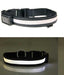 Led Solar Luminous Collar For Pet Dog - Dog Hugs Cat