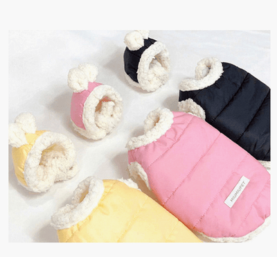 Pet Clothes Keep Warm - Dog Hugs Cat