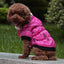 Zippered Cotton Padded Clothes For Pets - Dog Hugs Cat