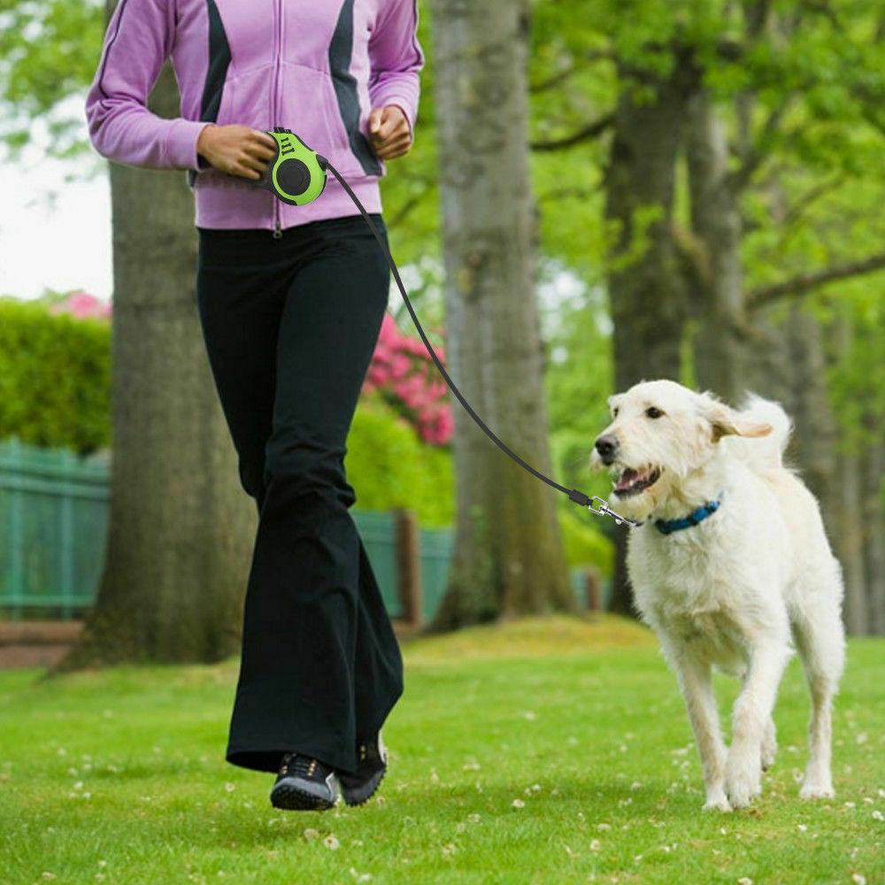 Automatic Retractable Dog Leash Pet Collar Automatic Walking Lead Freeleash - Dog Hugs Cat