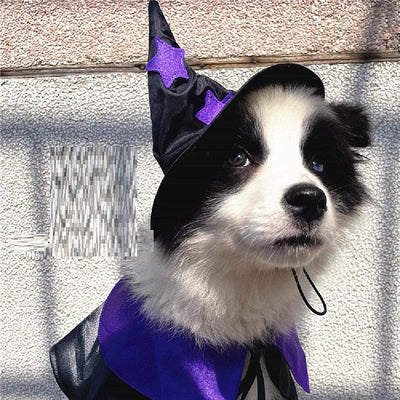 Pet Halloween Wizard Dressup Decoration Set - Dog Hugs Cat