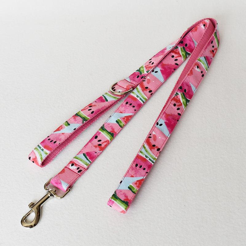 Pet Supplies Dog Collar Pet Leash - Dog Hugs Cat