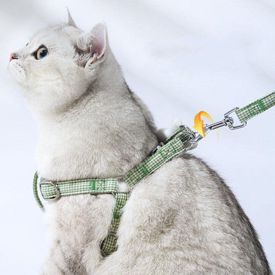 Small Dog Supplies For Cat Leash Prevention To Break Free From Bolts - Dog Hugs Cat