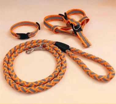 Pet Dog Leash - Dog Hugs Cat