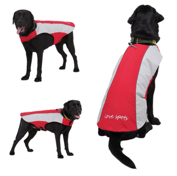 Pet Reflective Clothes - Dog Hugs Cat