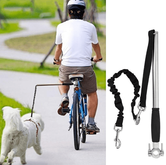 Bicycle Walking Dog Leash - Dog Hugs Cat