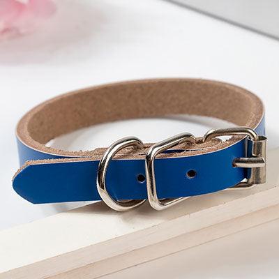 Leather Dog Collar Dog Chain - Dog Hugs Cat