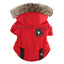 Pet Winter Cotton Dog Clothes Zipper Jacket Dog Supplies - Dog Hugs Cat