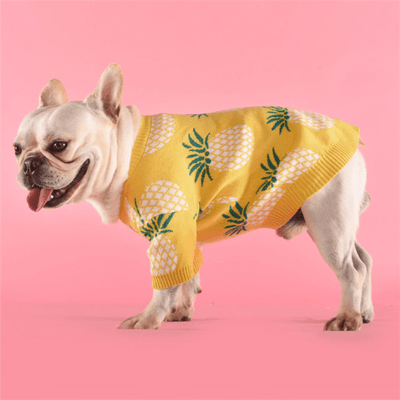 Pineapple Sweater - Dog Hugs Cat